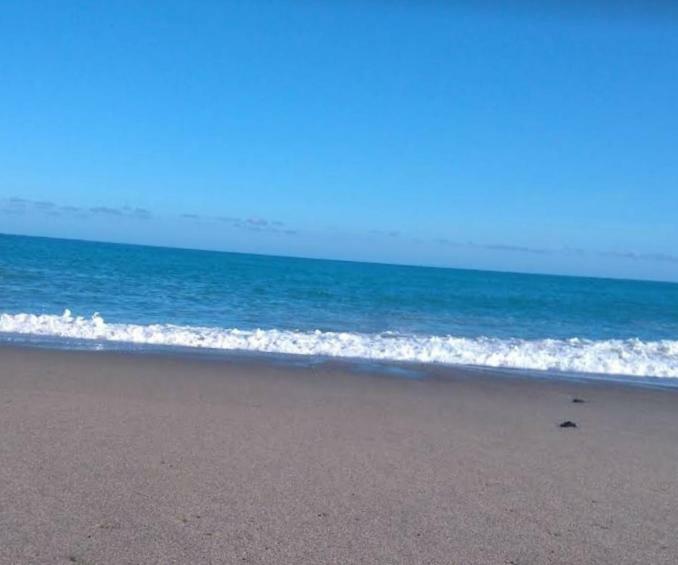 Raffaello Beach Apartment - 50 M From The Sea - Wifi Savona Esterno foto